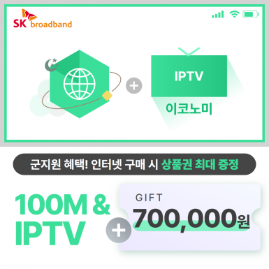 SK 인터넷 100M 광랜 + IPTV(이코노미)