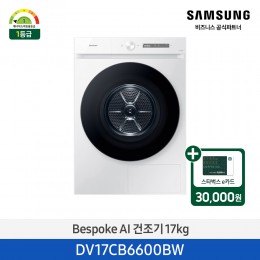 [삼성][17kg][화이트]BESPOKE 그랑데 건조기 AI 17 kg [DV17CB6600BW] 4월